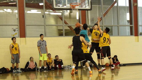 篮球赛多图集锦