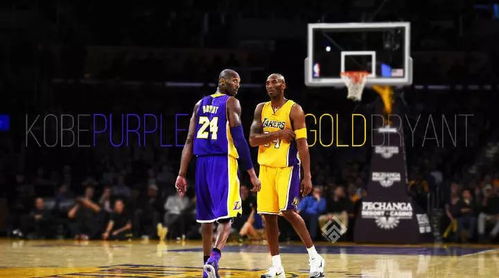 国际篮球日 关于篮球那些事