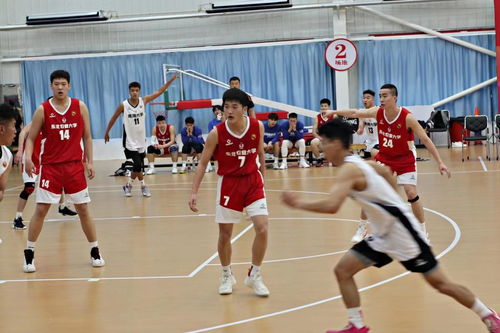 东北农业大学学生男子篮球队在第二十五届cubal中国大学生篮球联赛中荣获佳绩