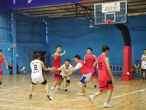 职工篮球赛庆 五一