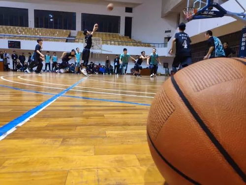 材料学院 篮球赛