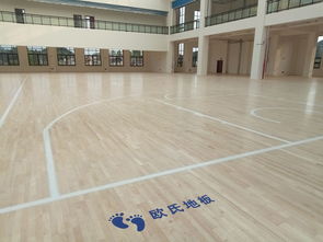 篮球场运动木地板