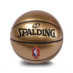 spalding 斯伯丁 nba玩赏儿童pu篮球1号球65 855y