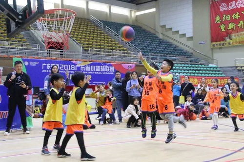 小篮球成就大梦想,广东省小篮球联赛 惠州赛区 圆满落幕