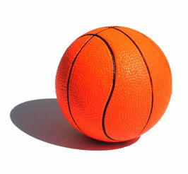 篮球暑期班 为孩子创造自由成长空间，助力健康快乐成长