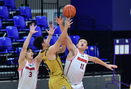 广东东莞大益力克南京同曦宙光，CBA第二阶段再添关键胜利