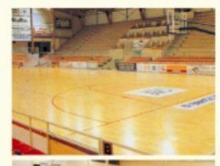 供应PVC运动地板高档篮球场运动地胶沈阳弗兰德厂家_建筑建材_世界工厂网中国产品信息库