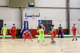 2019省直机关篮球赛 国金所vs农产品经纪人协会