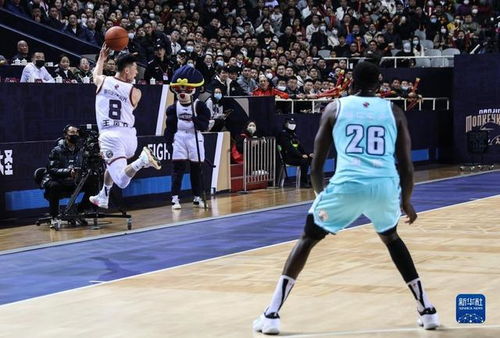 CBA常规赛 南京同曦宙光不敌青岛国信水产，青岛全面压制取胜
