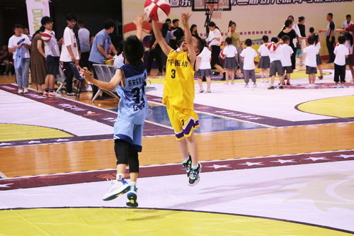蓝球热浪席卷水城——聊城市第十四届全民健身运动会幼儿篮球比赛圆满落幕