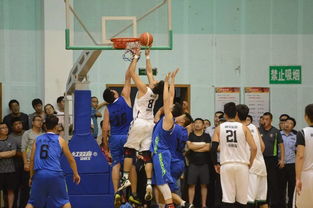 2017神东公司职工篮球赛精彩瞬间集锦 激情与汗水共绘团结篇章